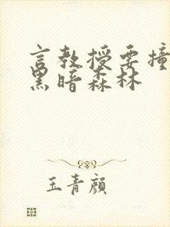 言教授要撞坏了黑暗森林封面