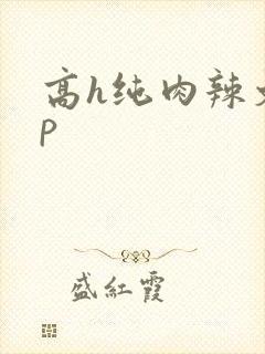 高h纯肉辣文np