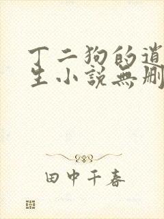 丁二狗的逍遥人生小说无删减