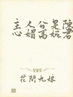 主人公是陈斌赵心媚高婉君小说