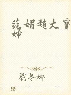 苏媚赵大宝儿媳妇封面