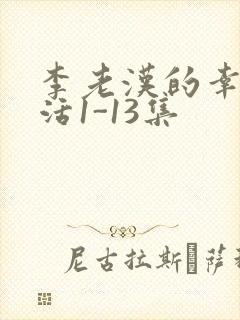 李老汉的幸福生活1-13集封面