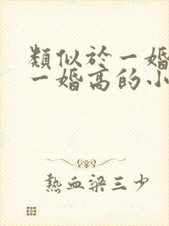 类似于一婚还比一婚高的小说