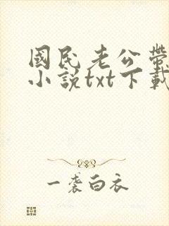 国民老公带回家小说txt下载