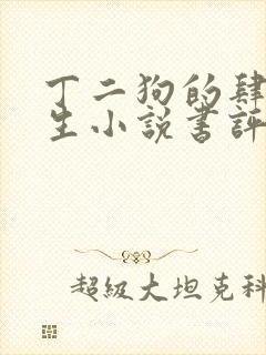 丁二狗的肆意人生小说书评