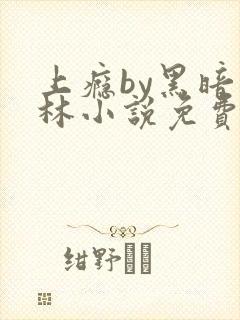 上瘾by黑暗森林小说免费
