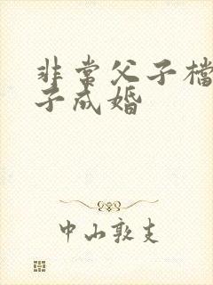 非常父子档2奉子成婚