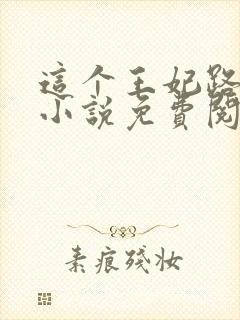 这个王妃路子野小说免费阅读