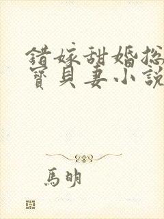 错嫁甜婚总裁的宝贝妻小说完整封面