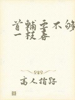 首辅要不够po一枝春封面