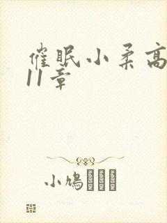 催眠小柔高达第11章封面