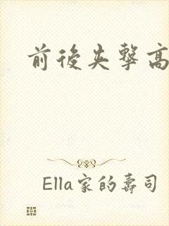 前后夹击高辣文