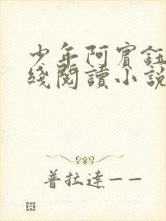 少年阿宾钰慧在线阅读小说txt