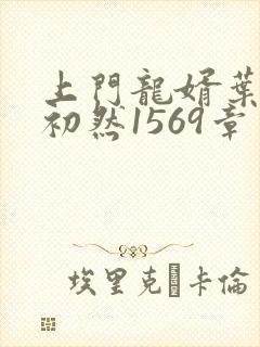 上门龙婿叶辰萧初然1569章了