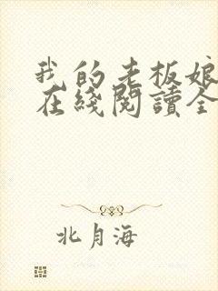 我的老板娘小说在线阅读全文封面