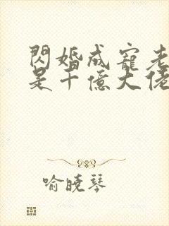 闪婚成宠老公竟是千亿大佬小说