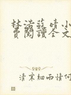 林浩苏晴小说免费阅读全文最新章节封面