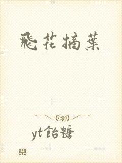 飞花摘叶封面