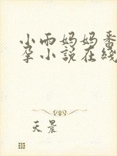 小雨妈妈番外怀孕小说在线阅读