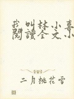 我叫林小喜免费阅读全文小说