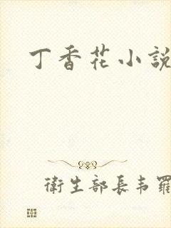 丁香花小说