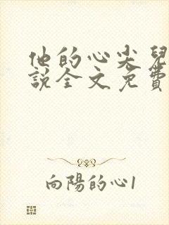 他的心尖儿宠小说全文免费阅读