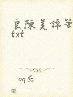 良陈美锦笔趣阁txt