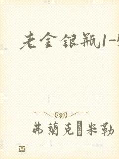 老金银瓶1-5封面