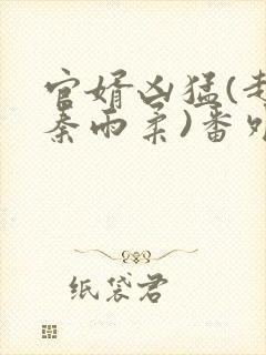 官婿凶猛(赵阳秦雨柔)番外+大结局小说