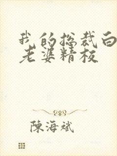 我的总裁白富美老婆精校封面