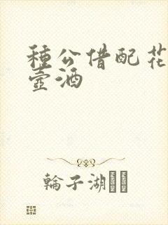 种公借配花间一壶酒