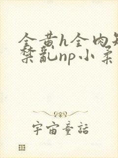 全黄h全肉短篇禁乱np小柔