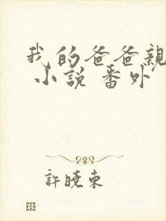 我的爸爸亲父女 小说 番外封面