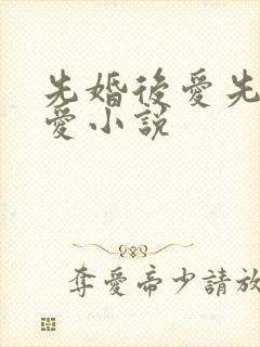 先婚后爱先婚后爱小说