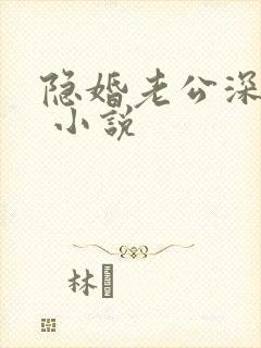 隐婚老公深夜来 小说