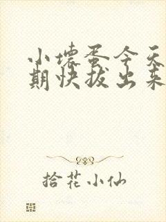 小坏蛋今天危险期快拔出来