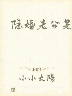 隐婚老公是上司封面