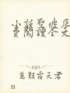 小说圣墟辰东免费阅读全文无窗口