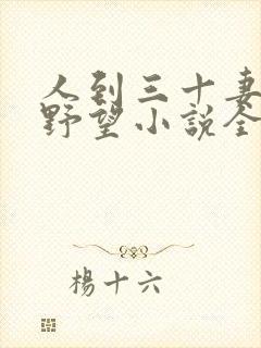 人到三十妻子的野望小说全文免费阅读无弹窗