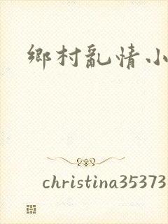 乡村乱情小说