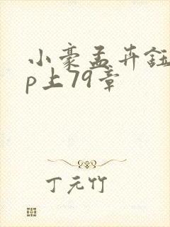 小豪孟卉钰慧三p上79章