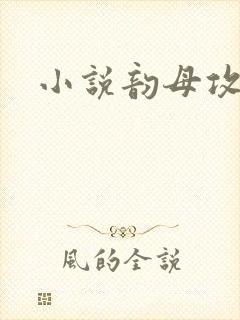 小说韵母攻略