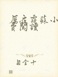 厉夜霆苏小汐免费阅读封面