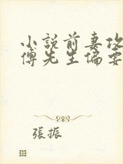 小说前妻攻略:傅先生偏要宠我阅读