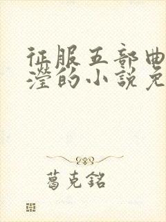 征服五部曲陈玉滢的小说免费阅读封面
