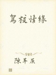 驾校情缘封面