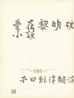 爱在黎明破晓前小说