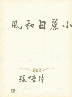 风和日丽小说