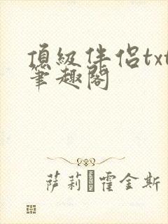 顶级伴侣txt笔趣阁