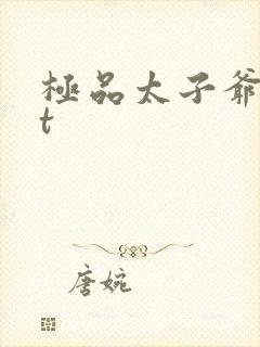 极品太子爷txt
